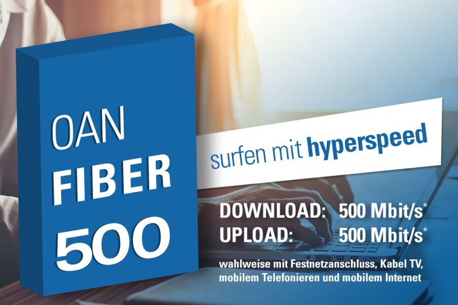 BGVX Fiber 500