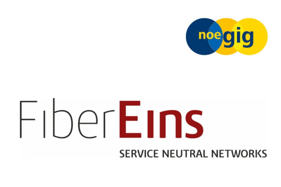 Fiber Eins