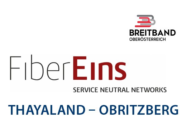Fiber Eins