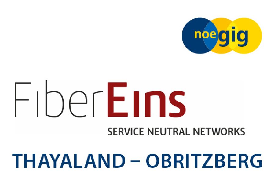 Fiber Eins