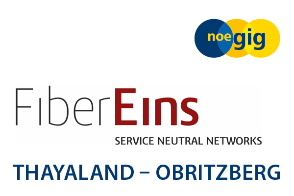 Fiber Eins