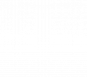 noe_trans